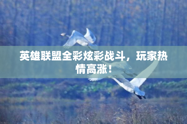 英雄联盟全彩炫彩战斗，玩家热情高涨！