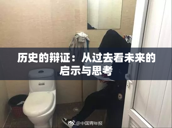 历史的辩证：从过去看未来的启示与思考