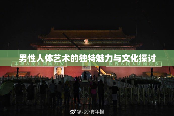 男性人体艺术的独特魅力与文化探讨