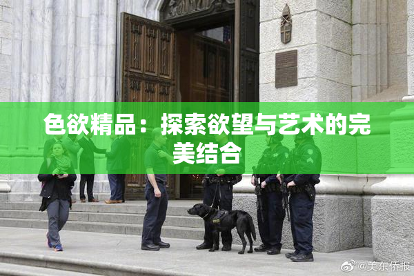 色欲精品：探索欲望与艺术的完美结合