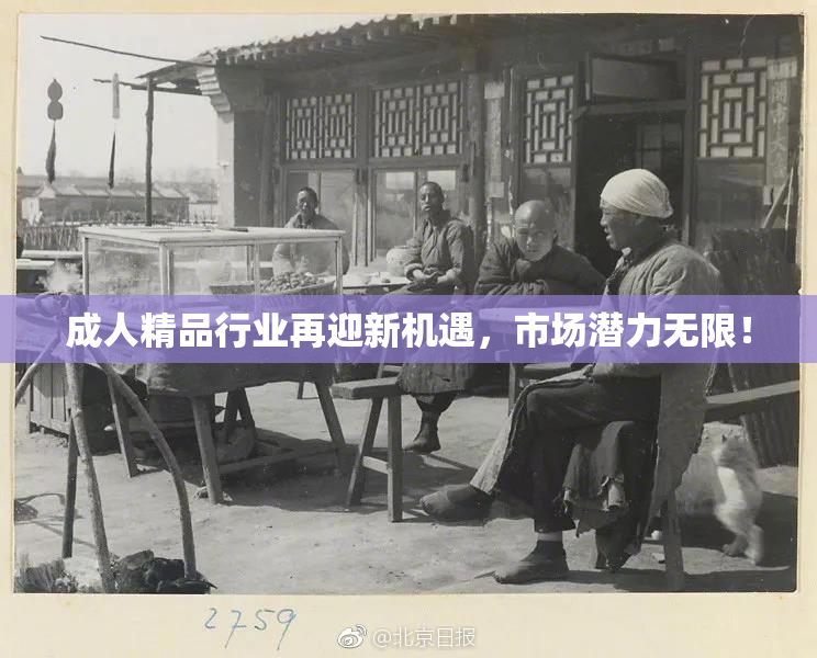 成人精品行业再迎新机遇，市场潜力无限！