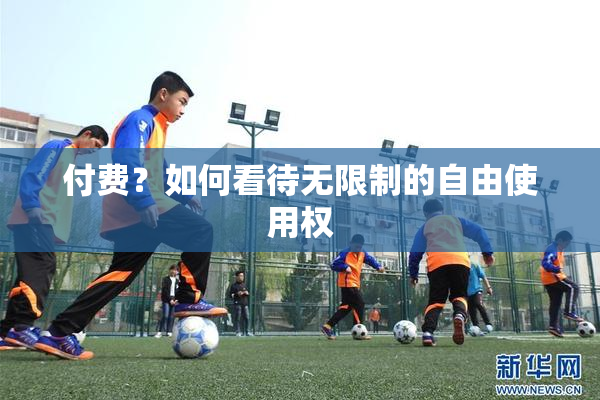 付费？如何看待无限制的自由使用权