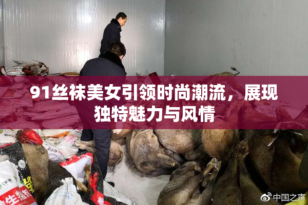 91丝袜美女引领时尚潮流，展现独特魅力与风情