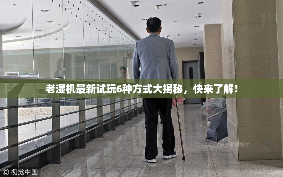 老湿机最新试玩6种方式大揭秘，快来了解！