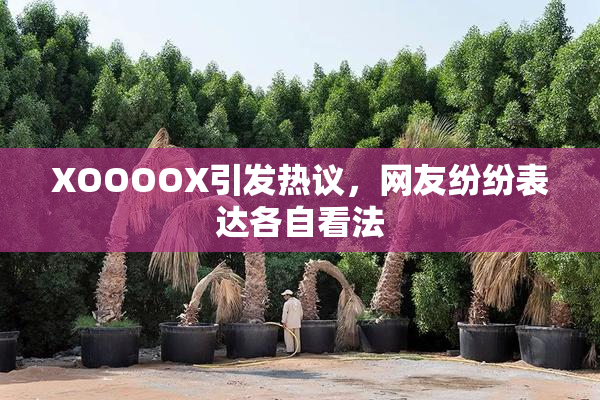 XOOOOX引发热议，网友纷纷表达各自看法