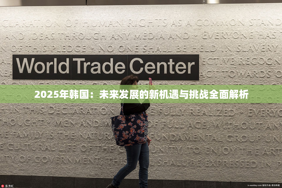 2025年韩国：未来发展的新机遇与挑战全面解析