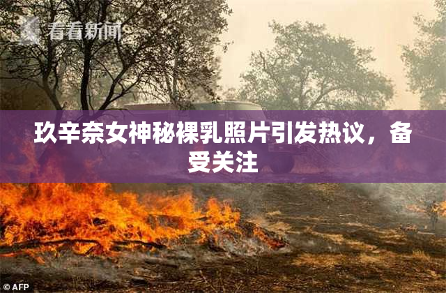 玖辛奈女神秘裸乳照片引发热议，备受关注
