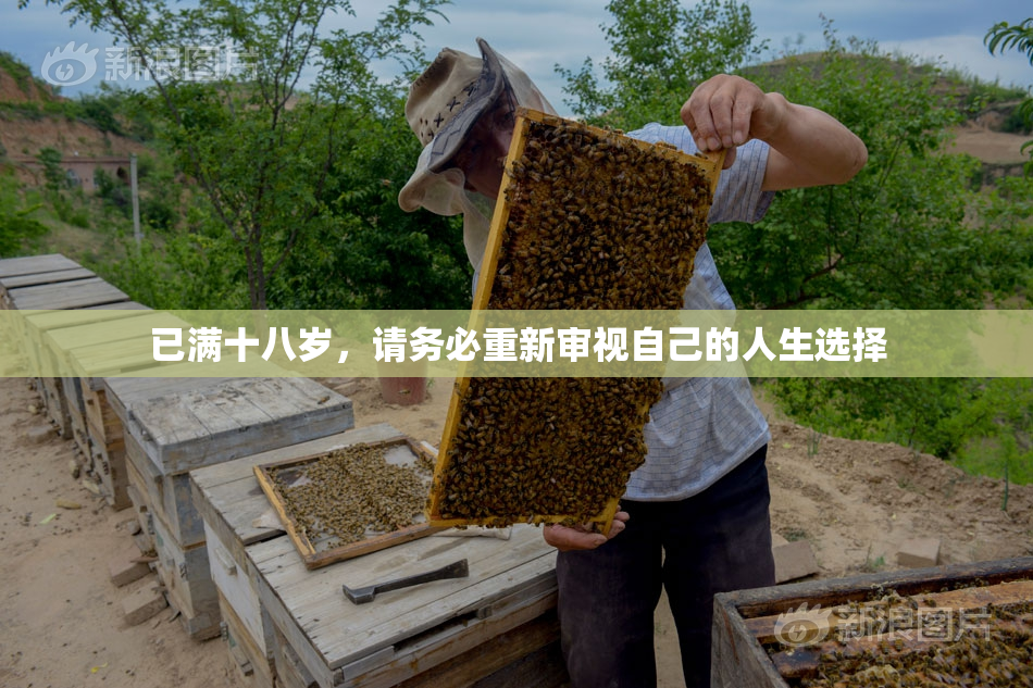 已满十八岁，请务必重新审视自己的人生选择
