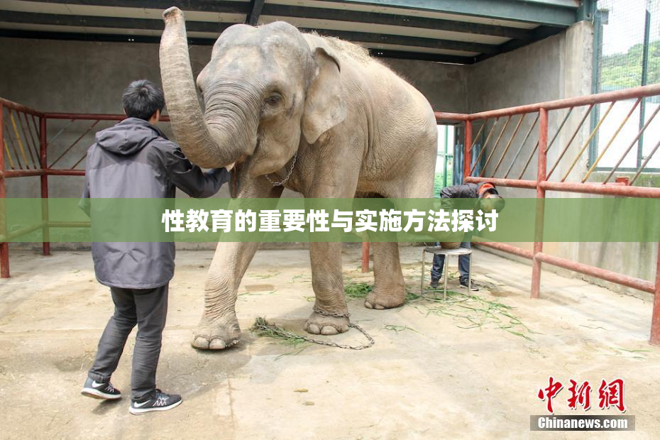 性教育的重要性与实施方法探讨