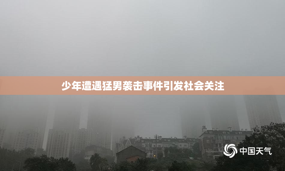 少年遭遇猛男袭击事件引发社会关注
