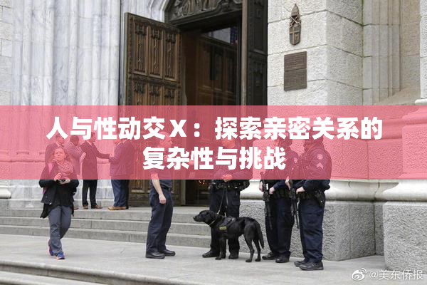 人与性动交Ⅹ：探索亲密关系的复杂性与挑战