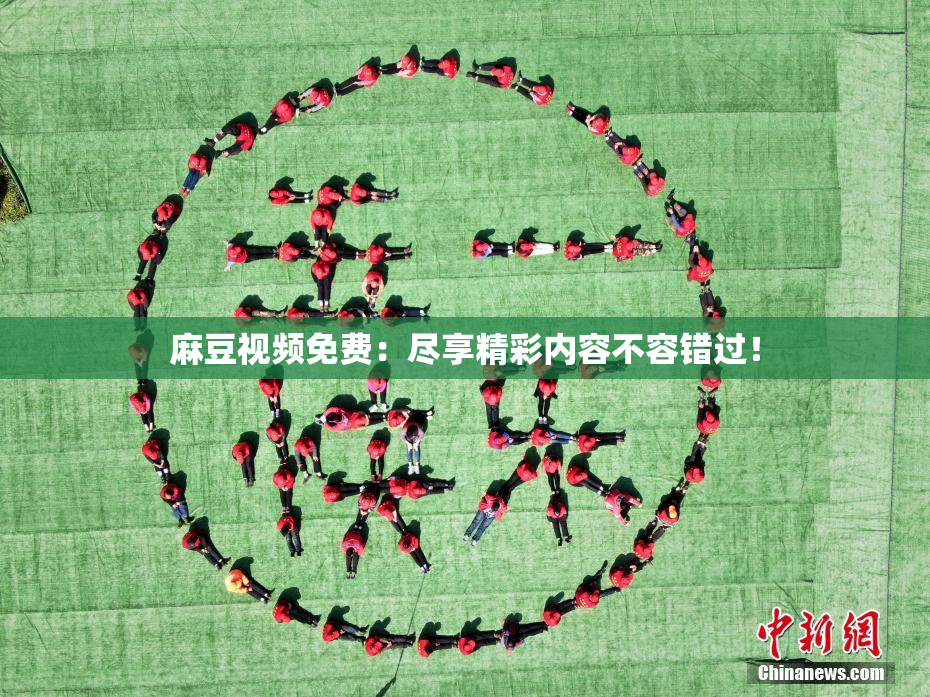 麻豆视频免费：尽享精彩内容不容错过！