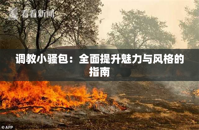 调教小骚包：全面提升魅力与风格的指南