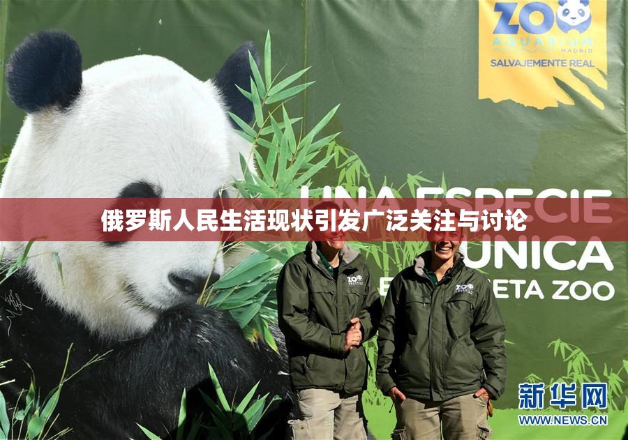 俄罗斯人民生活现状引发广泛关注与讨论