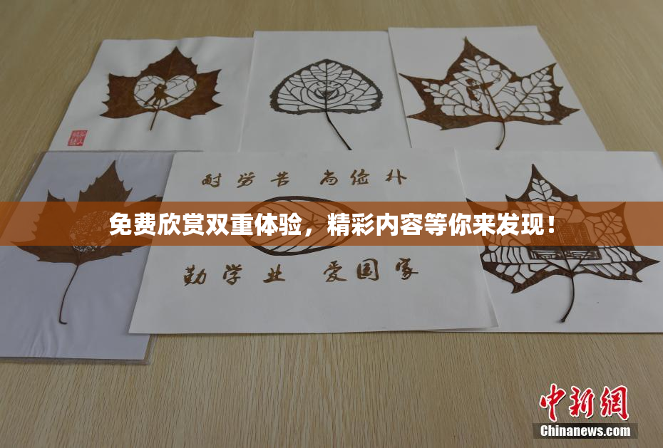 免费欣赏双重体验，精彩内容等你来发现！