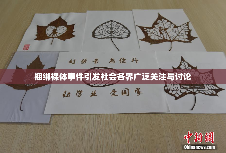 捆绑裸体事件引发社会各界广泛关注与讨论