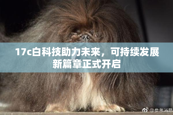 17c白科技助力未来，可持续发展新篇章正式开启