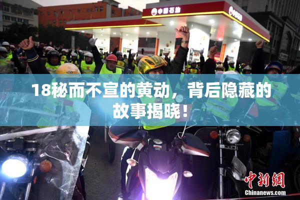 18秘而不宣的黄动，背后隐藏的故事揭晓！