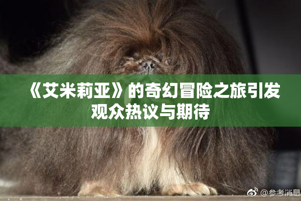 《艾米莉亚》的奇幻冒险之旅引发观众热议与期待