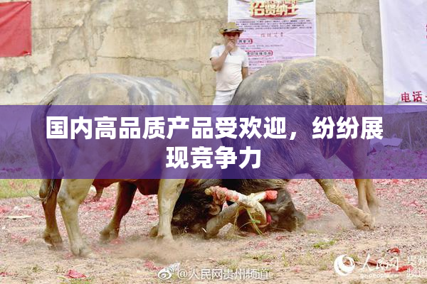 国内高品质产品受欢迎，纷纷展现竞争力