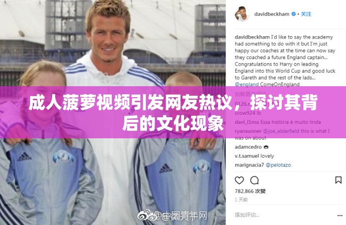 成人菠萝视频引发网友热议，探讨其背后的文化现象