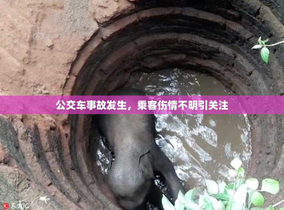 公交车事故发生，乘客伤情不明引关注