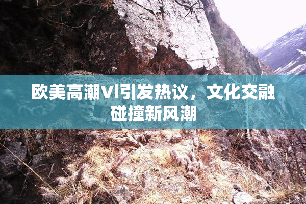 欧美高潮Vi引发热议，文化交融碰撞新风潮