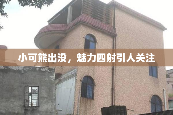 小可熊出没，魅力四射引人关注