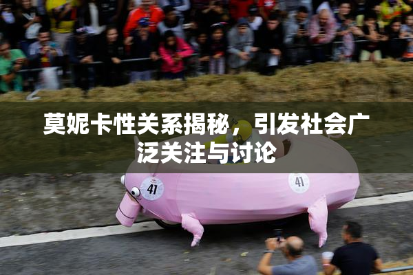 莫妮卡性关系揭秘，引发社会广泛关注与讨论