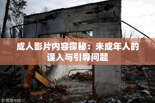 成人影片内容探秘：未成年人的误入与引导问题