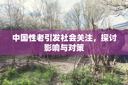 中国性老引发社会关注，探讨影响与对策