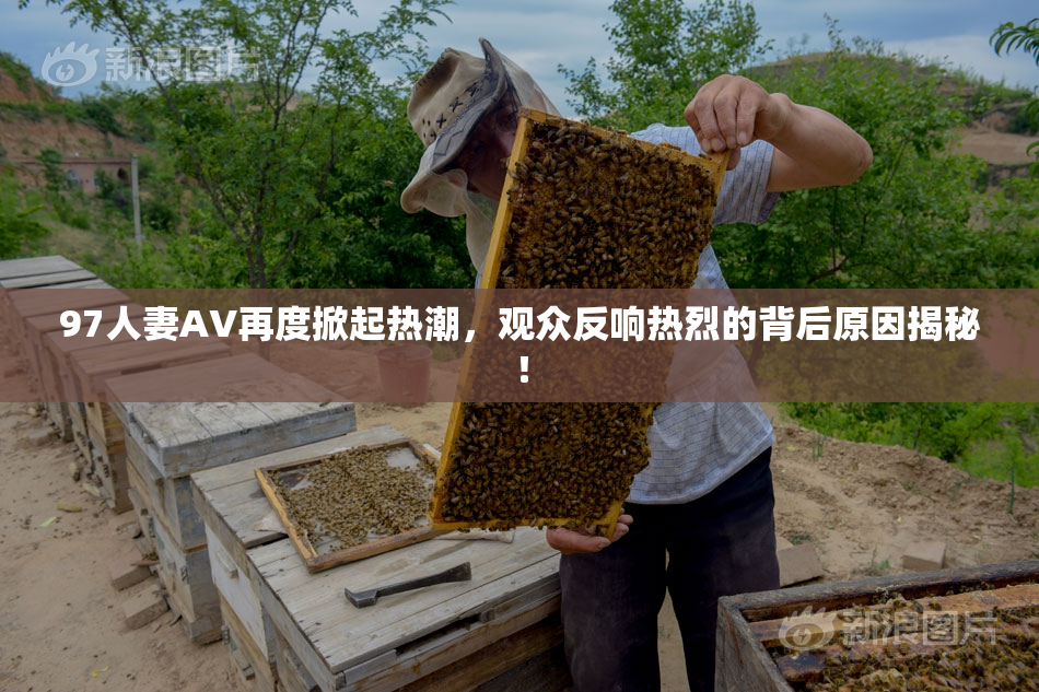 97人妻AV再度掀起热潮，观众反响热烈的背后原因揭秘！