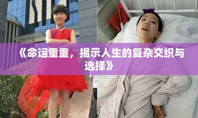 《命运重重，揭示人生的复杂交织与选择》