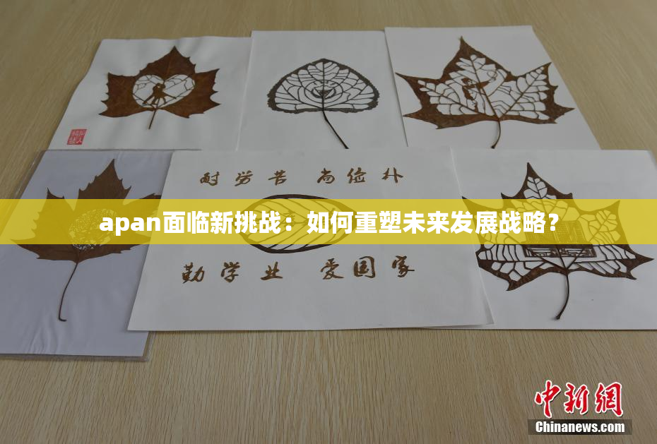 apan面临新挑战：如何重塑未来发展战略？