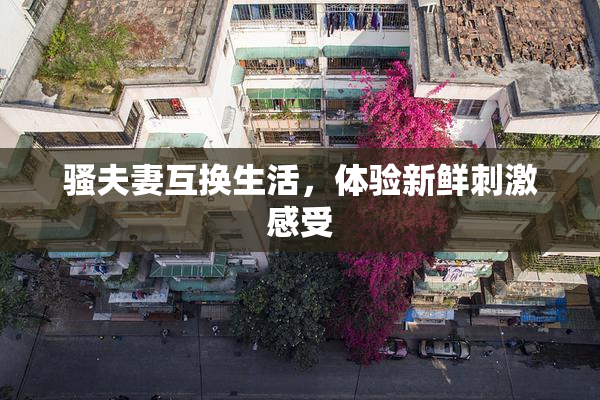 骚夫妻互换生活，体验新鲜刺激感受