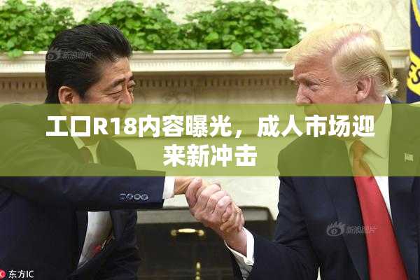 工口R18内容曝光，成人市场迎来新冲击