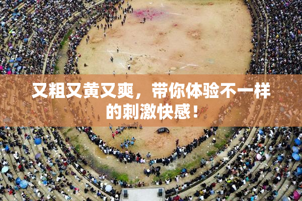 又粗又黄又爽，带你体验不一样的刺激快感！