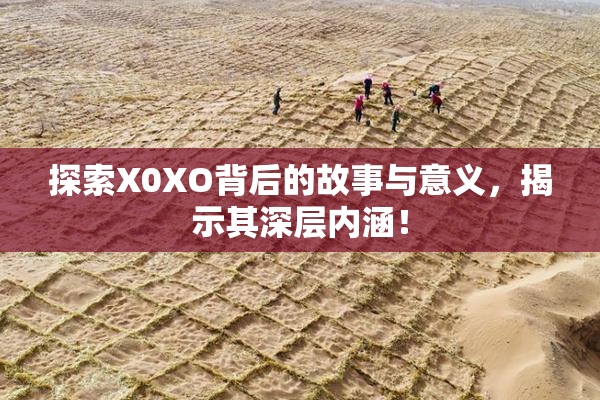 探索X0XO背后的故事与意义，揭示其深层内涵！