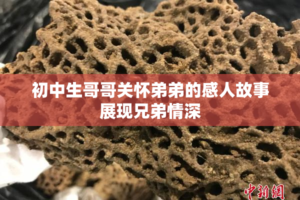 初中生哥哥关怀弟弟的感人故事展现兄弟情深