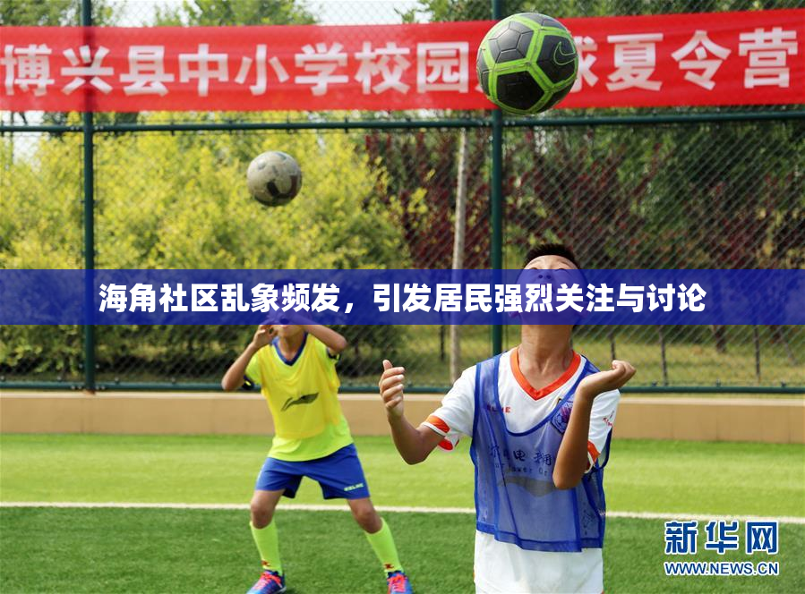 海角社区乱象频发，引发居民强烈关注与讨论