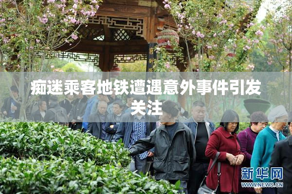 痴迷乘客地铁遭遇意外事件引发关注