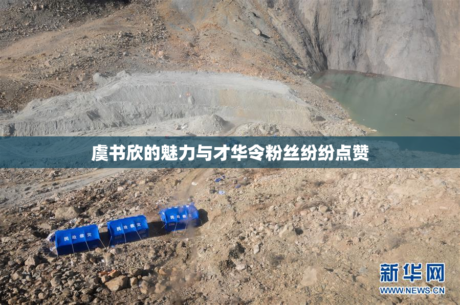 虞书欣的魅力与才华令粉丝纷纷点赞