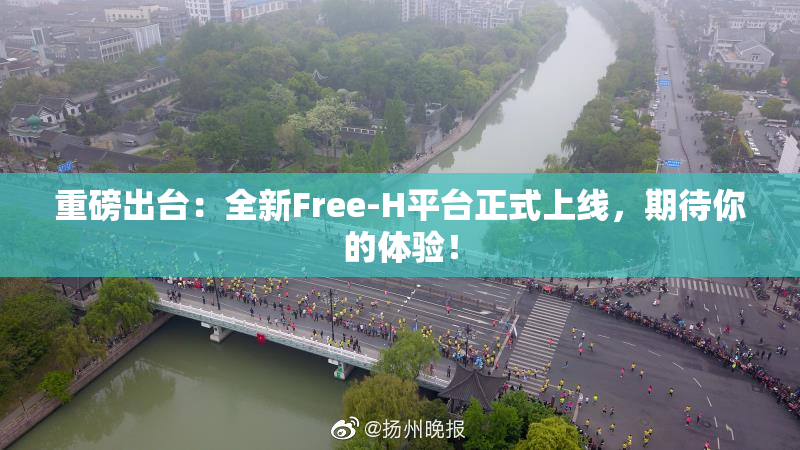 重磅出台：全新Free-H平台正式上线，期待你的体验！