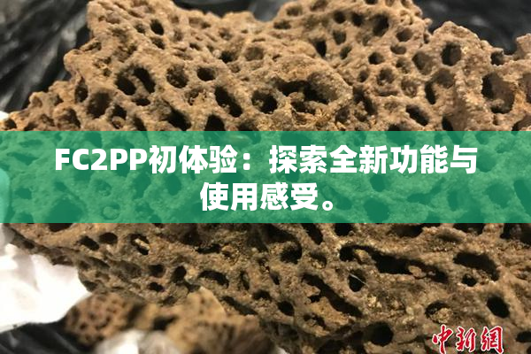 FC2PP初体验：探索全新功能与使用感受。
