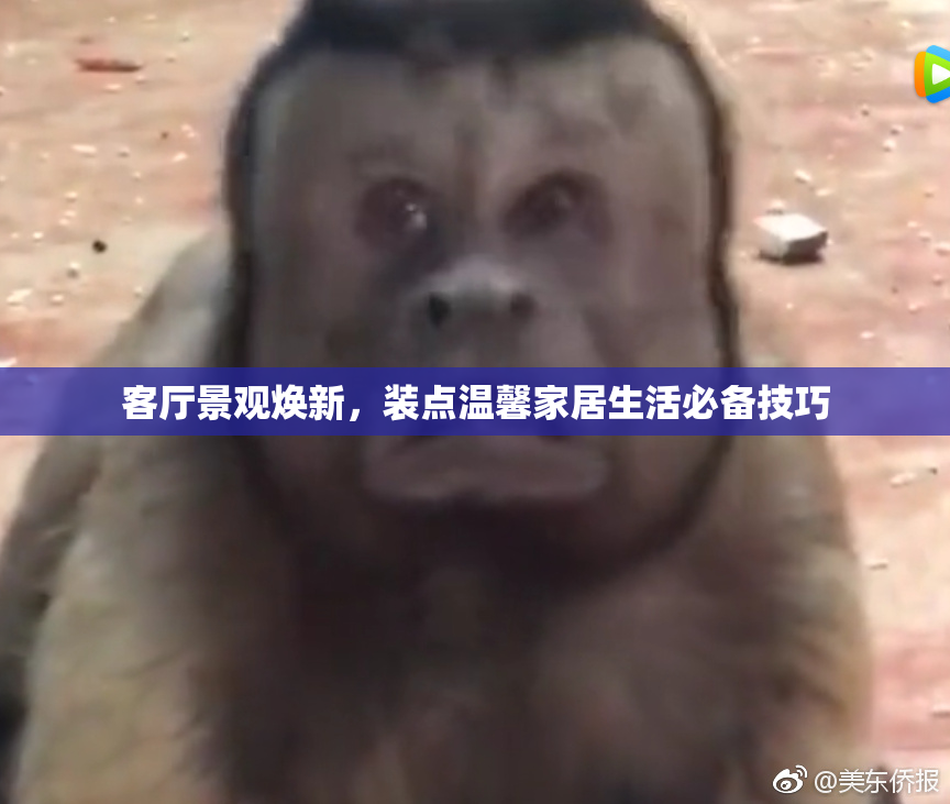 客厅景观焕新，装点温馨家居生活必备技巧