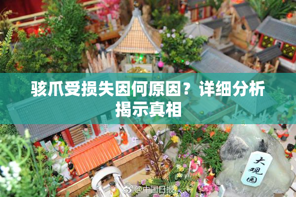 骇爪受损失因何原因？详细分析揭示真相