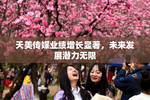 天美传媒业绩增长显著，未来发展潜力无限
