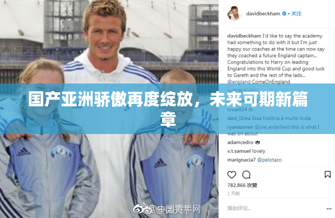 国产亚洲骄傲再度绽放，未来可期新篇章