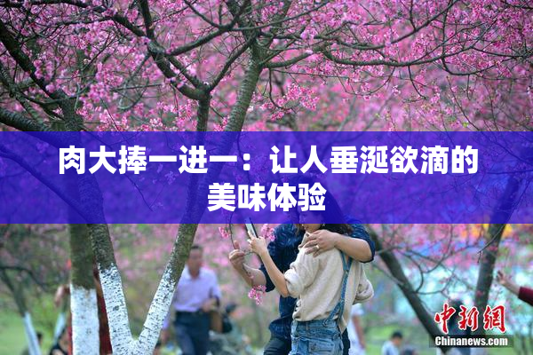 肉大捧一进一：让人垂涎欲滴的美味体验