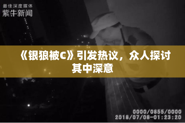 《银狼被C》引发热议，众人探讨其中深意